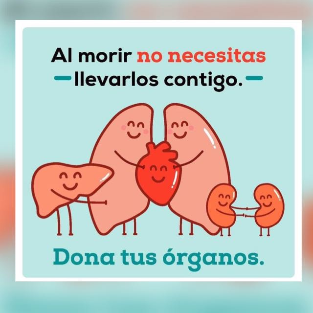 Hagamos conciencia en la donación de órganos